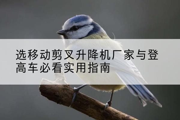 晋安电动升降机厂家-选移动剪叉升降机厂家与登高车必看实用指南