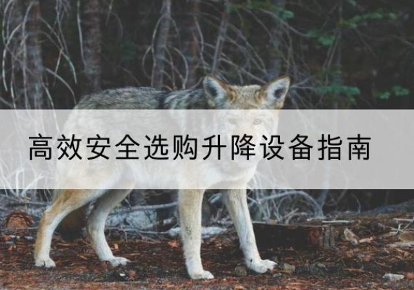 晋安升降货梯厂家推荐-*安全选购升降设备指南