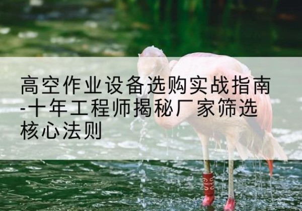 晋安剪叉式升降机厂家-高空作业设备选购实战指南-十年工程师揭秘厂家筛选核心法则